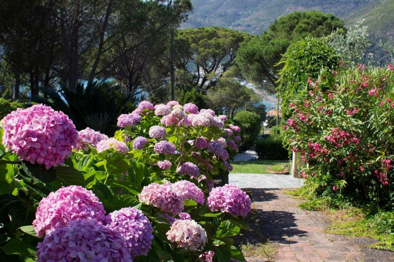 Villa Mesco Λεβάντο Εξωτερικό φωτογραφία