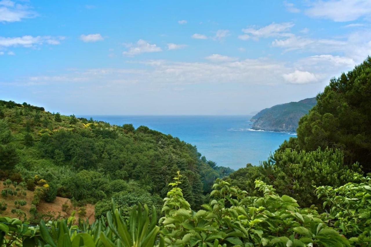 Villa Mesco Λεβάντο Εξωτερικό φωτογραφία